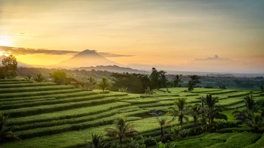 AWAKEN Bali Spiritual Retreat 2026